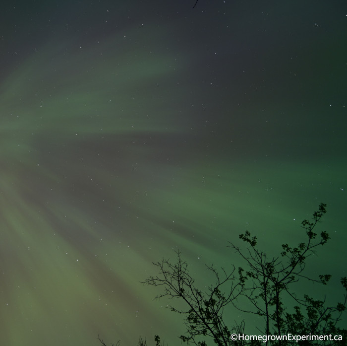 Aurora
